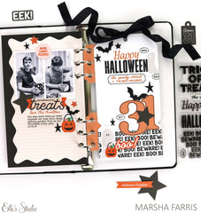 Trick-Or-Treat Puffy Stickers