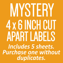 Mystery 4 x 6 inch Cut Apart Labels